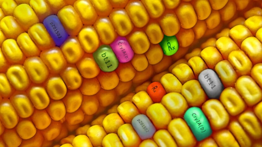 O Novo Capítulo na Rotulagem de OGMs: Entenda a Decisão do STJ sobre o Limite de 1%